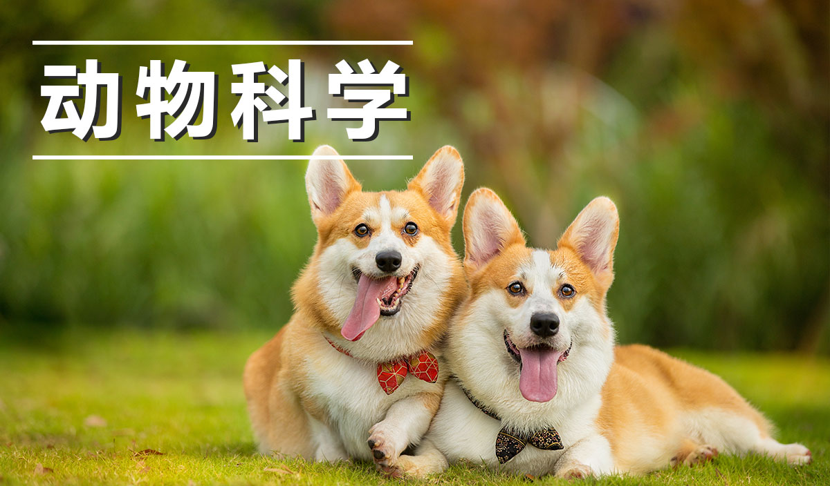 动物科学